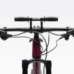 Kids Ride Shotgun Child Handlebars