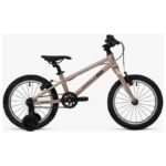 Teddy 16 beige welt